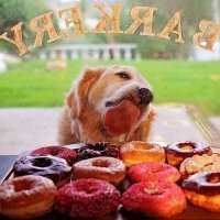 Вот про лижет витрину насквозь, будут вам пончики;)