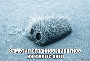 Подборка автомобильных приколов