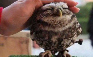 А полосочки - удосужился. Художники не удосужились, а он - вот! Заботится о нравственности сталбыть.