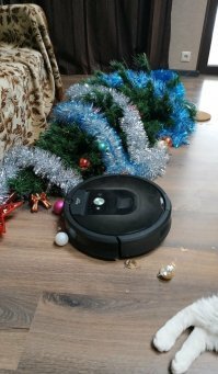 Похоже на подставу, мне кажется я вижу лапы настоящего виновника падения елки ...