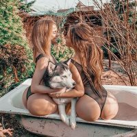 Две задницы, с бедолашной псиной для антуража.