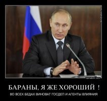 Китайские безрельсовые поезда