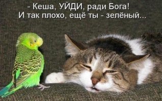 Человек с похмелья