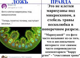 В интернете нашлось только это, дальше копать мне влом, поэтому за истинность не ручаюсь.