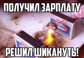 Прикольные и смешные картинки