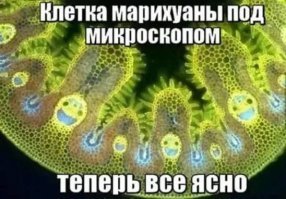 15 снимков привычных вещей, которые выглядят совершенно фантастически