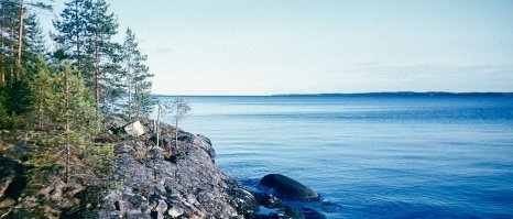 Тгода это солянка получится.... Пост из пяти фото и пяти сот комментов с фотографиями, т.к. виды одного Онежского озера в Карелии чего стоят. Разный пейзаж и фотографий получится отличнейших сделать не одну сотню. А этих озер в Карелии столько ... Для интересу загляните в Гугл Мапс.  У большинства даже официальных названий нет (Местные дают названия, но по большей части - просто ламбушки) На последнем фото изображена Успенская церковь 1774 - 10 августа 2018 (Утрачена) Ссылка на статью, кому интересно будет