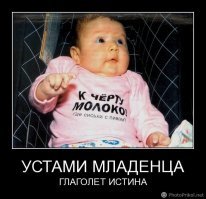 Смешные картинки из соц сетей