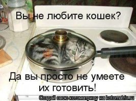 Прикольные и смешные картинки