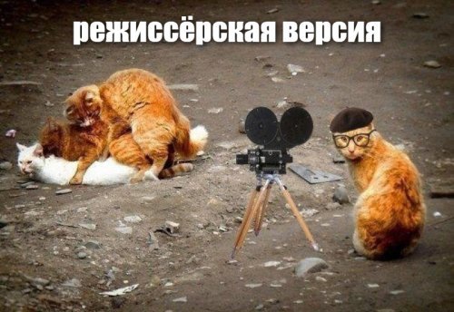 Солянка от 10.01.2020