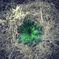 А вот это что?