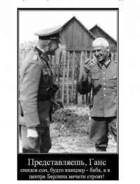 Советский солдат без страха смотрит в глаза Генриху Гиммлеру (1941 год). История, скрытая за кадром