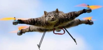 Спецдоставкой