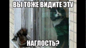 Прикольные и смешные картинки