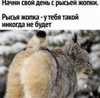 Прикольные и смешные картинки