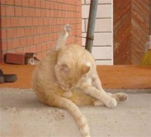 Ну вы поняли...