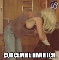 Любвеобильный пёс смутил свою хозяйку