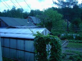 2005 год снято на siemens CX65 камера 0.3 Мп