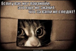 Мания преследования