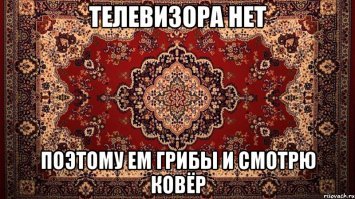 Эксперимент Как вырастить грибы в домашних условиях Простой рецепт выращивания грибов вешенки