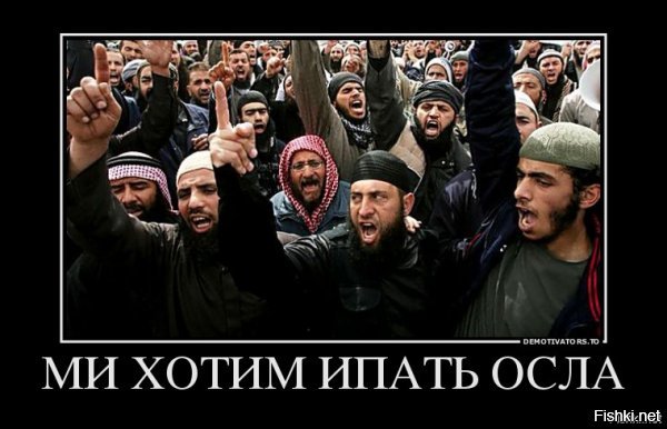 Точка зрения на трудолюбивых мигрантов