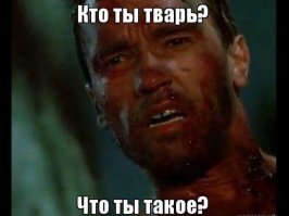 Пора выпускать в лес и выдавать охотничьи лицензии...