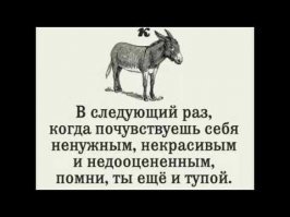 Прикольные и смешные картинки