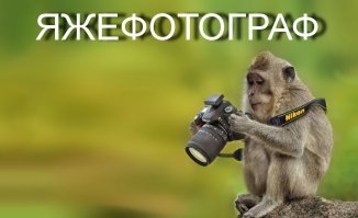 Человек с фотоаппаратом