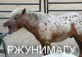 Девушки улыбаются