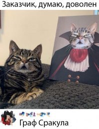 Прикольные и смешные картинки