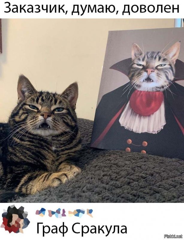 Прикольные и смешные картинки