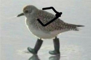 Штош, нипруха