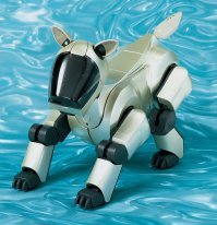 Пёсик Sony Aibo, 2001 год. Делал практически то же самое.