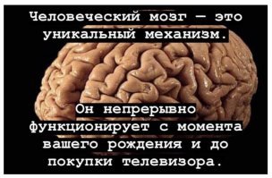 Мозг как самый элегантный сексуальный орган человека