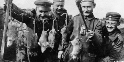 Эпоха до холодильников: мясные лавки в викторианской Англии