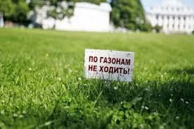 Гейши и Юдзё: как был устроен рынок любви в Японии