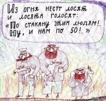 Спасение провалившейся под лед лосихи в Нижегородской области