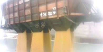 У товарного вагона для насыпных продуктов бункер открывается снизу для быстрого опорожнения. У нас так железка с сахаром была в 90-х, когда сахар-сырец с Кубы возили, заскакивали на ходу открывали бункер и весь вагон высыпался. потом сгребали и варили спирт. Кого поймали, кто без ног остался.. иэхх гнусное было времечко.