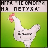 Прикольные и смешные картинки