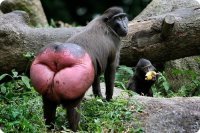 Желая иметь большие губы девушка чуть не лишилась жизни