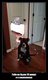 Пропали очки