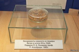 А вот и современники анекдота