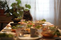 Сначала перекусим.