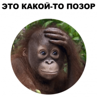 Прикольные и смешные картинки