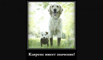 Прикольные и смешные картинки