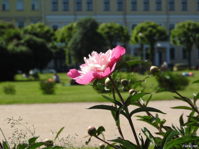 Какой-то не тот Санкт-Петербург у автора. А может автор не тот? :)
Вот мой Питер...