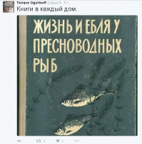 С кем спят знаменитости, когда они свободны?