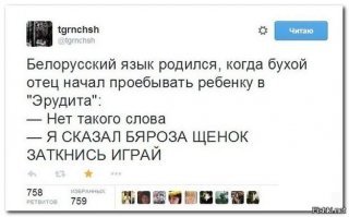 Прикольные и смешные картинки