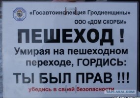 ДТП на глазах у росгвардейцев: во Владимирской области сбили мальчика