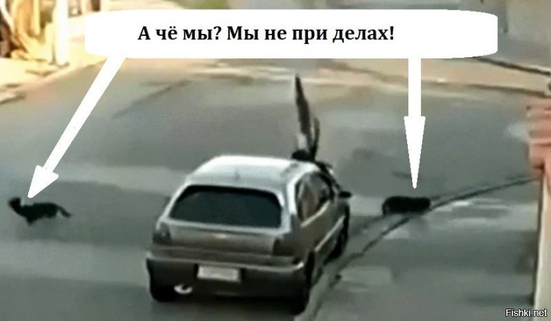 Солянка от 16.01.2020